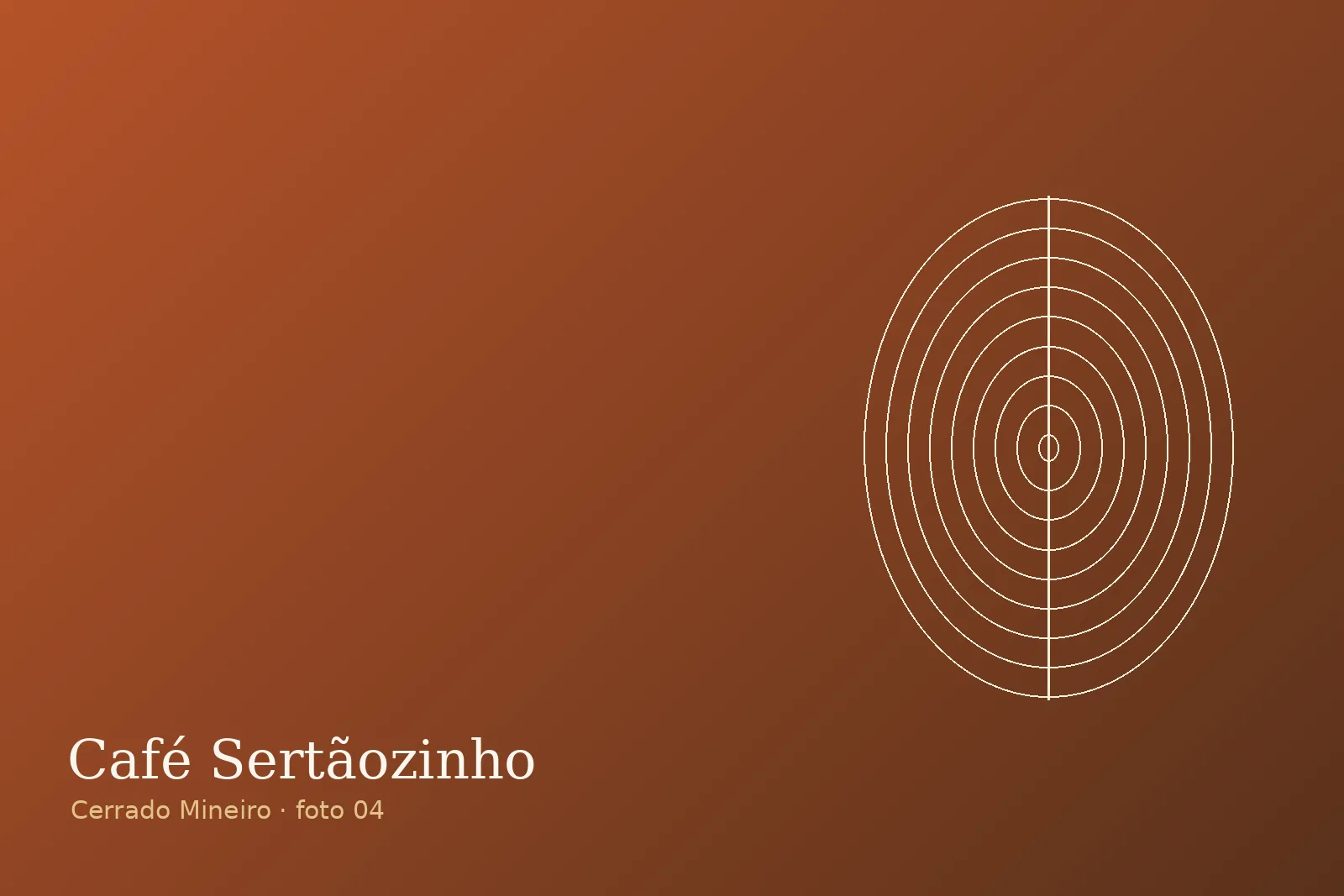 Floração branca — Fazenda Sertãozinho
