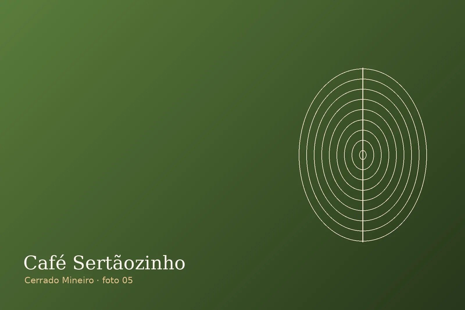 Altitude e neblina — Fazenda Sertãozinho