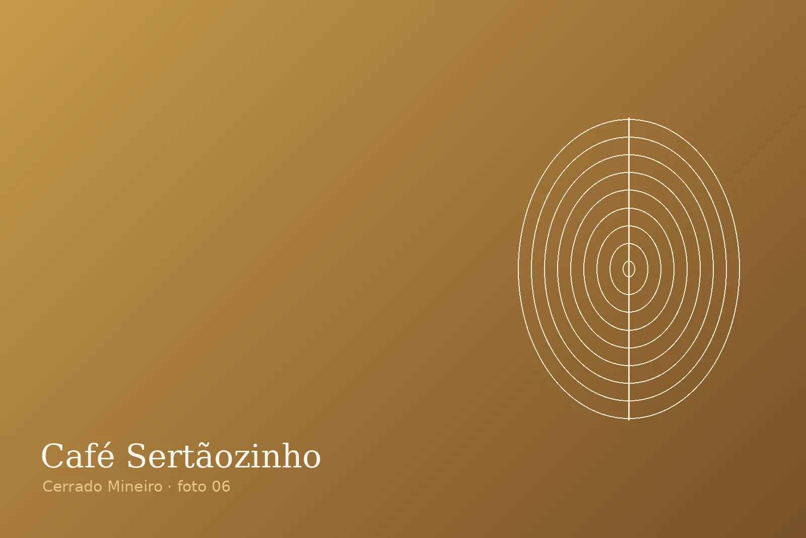 Colheita seletiva — Fazenda Sertãozinho