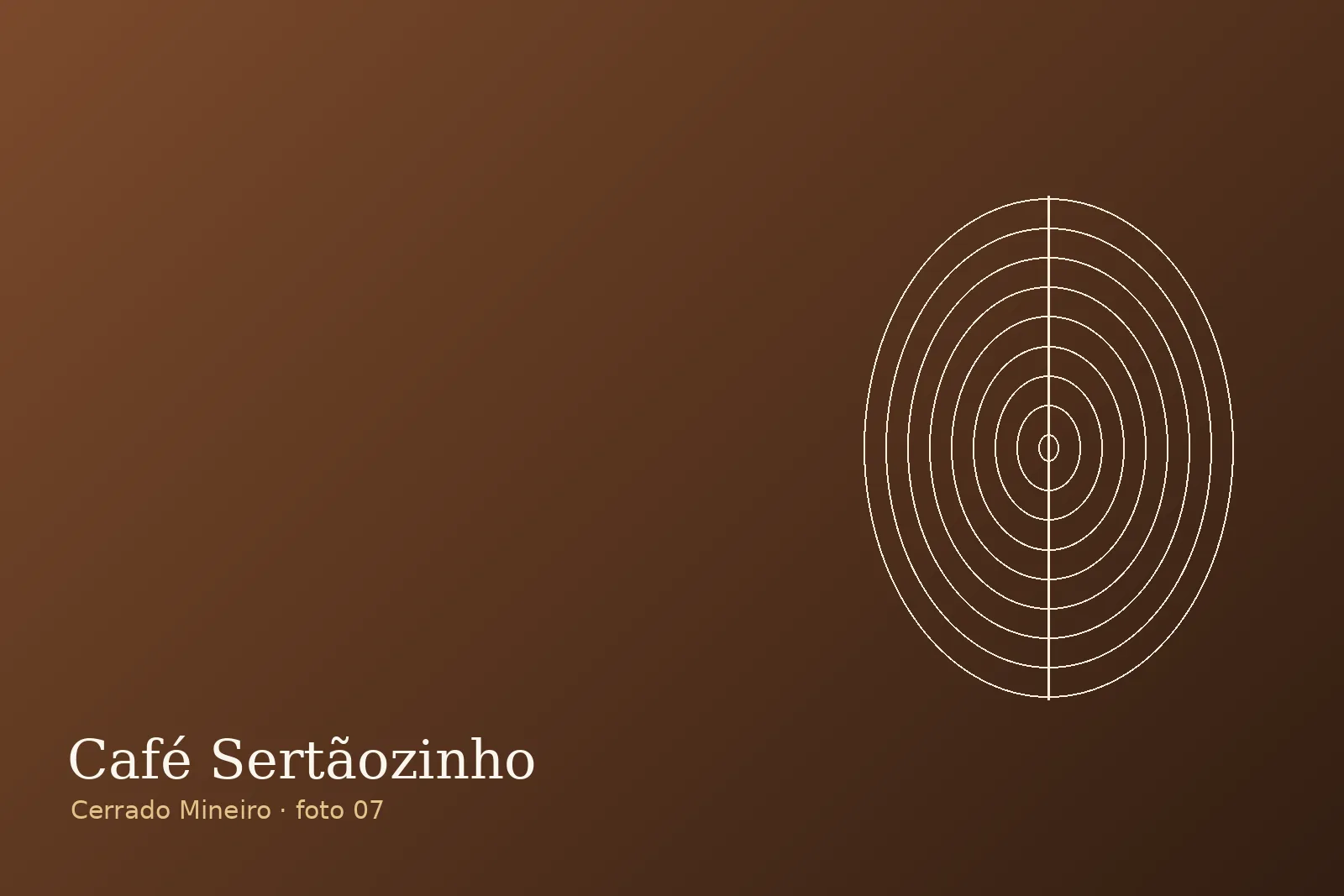 Tulha e armazenagem — Fazenda Sertãozinho